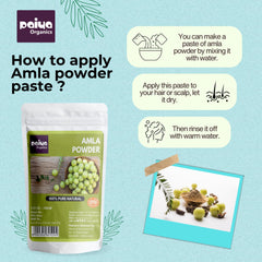Paiya Organics 100% Pure Natural Amla Powder, Indian Gooseberry, Great For Hair Conditioning & Hair Coloring Mixture, Natural Vitamin C & Antioxidants | 100gm 0.2lbs