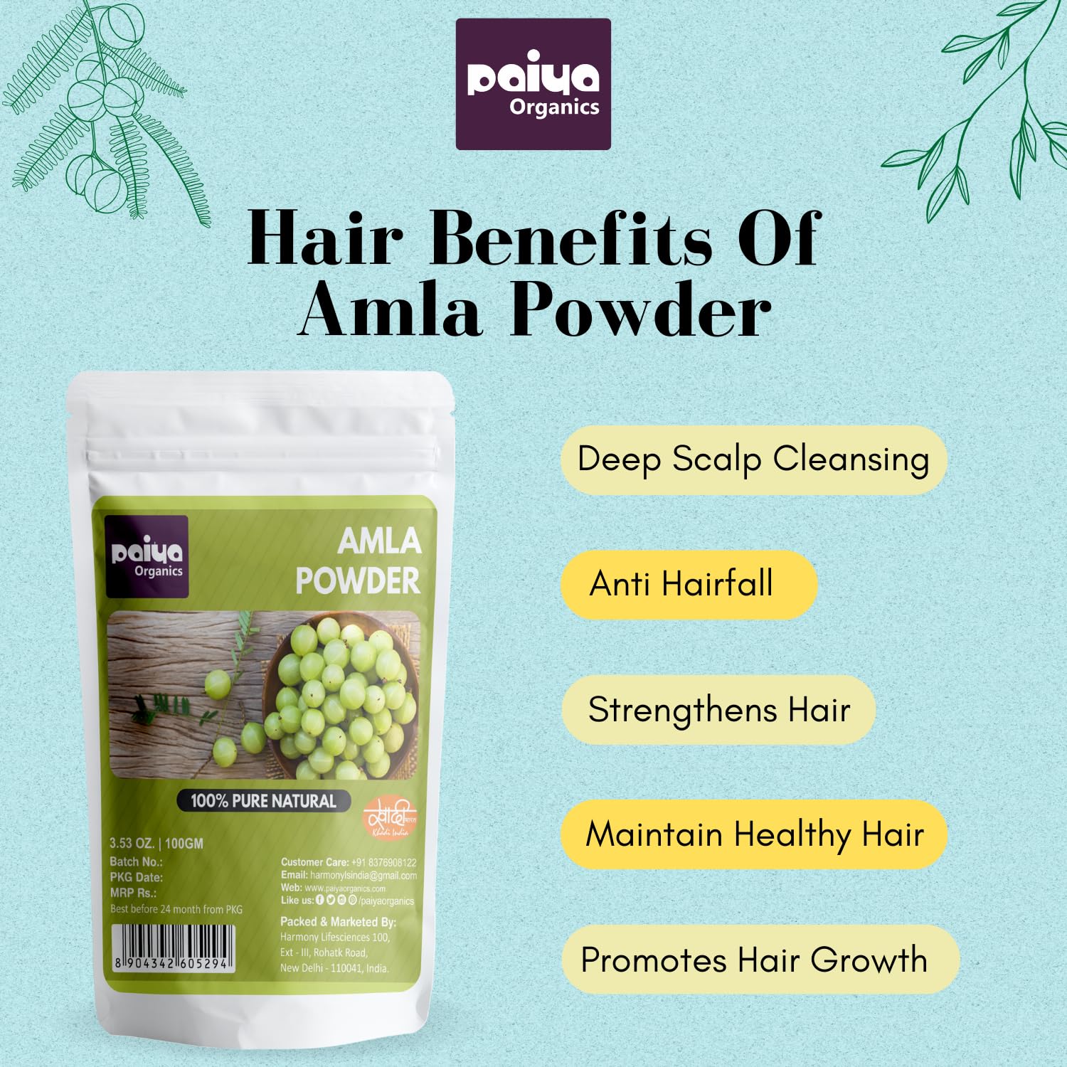 Paiya Organics 100% Pure Natural Amla Powder, Indian Gooseberry, Great For Hair Conditioning & Hair Coloring Mixture, Natural Vitamin C & Antioxidants | 100gm 0.2lbs