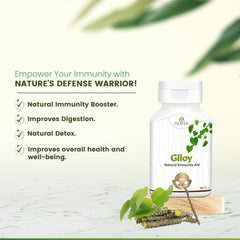 Pravek Giloy, Natural Immunity Aid Extract, Antioxidant Properties, Immunity Booster, Pure, Natural & Premium Quality, Improves Overall Health & Well - Being | 60 Capsules 100gm 0.2lbs