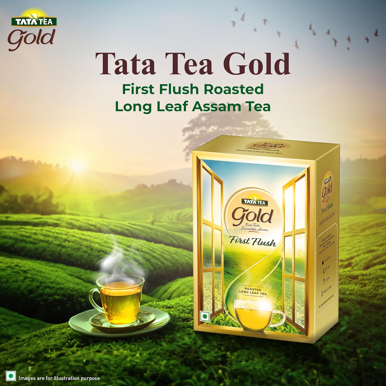 Tata Tea Gold First Flush Tea - 250gm, 8.8 Ounce | Roasted Long Leaf Tea - Rich Taste & Smoky Aroma | Medium Caffeine Chai Patti