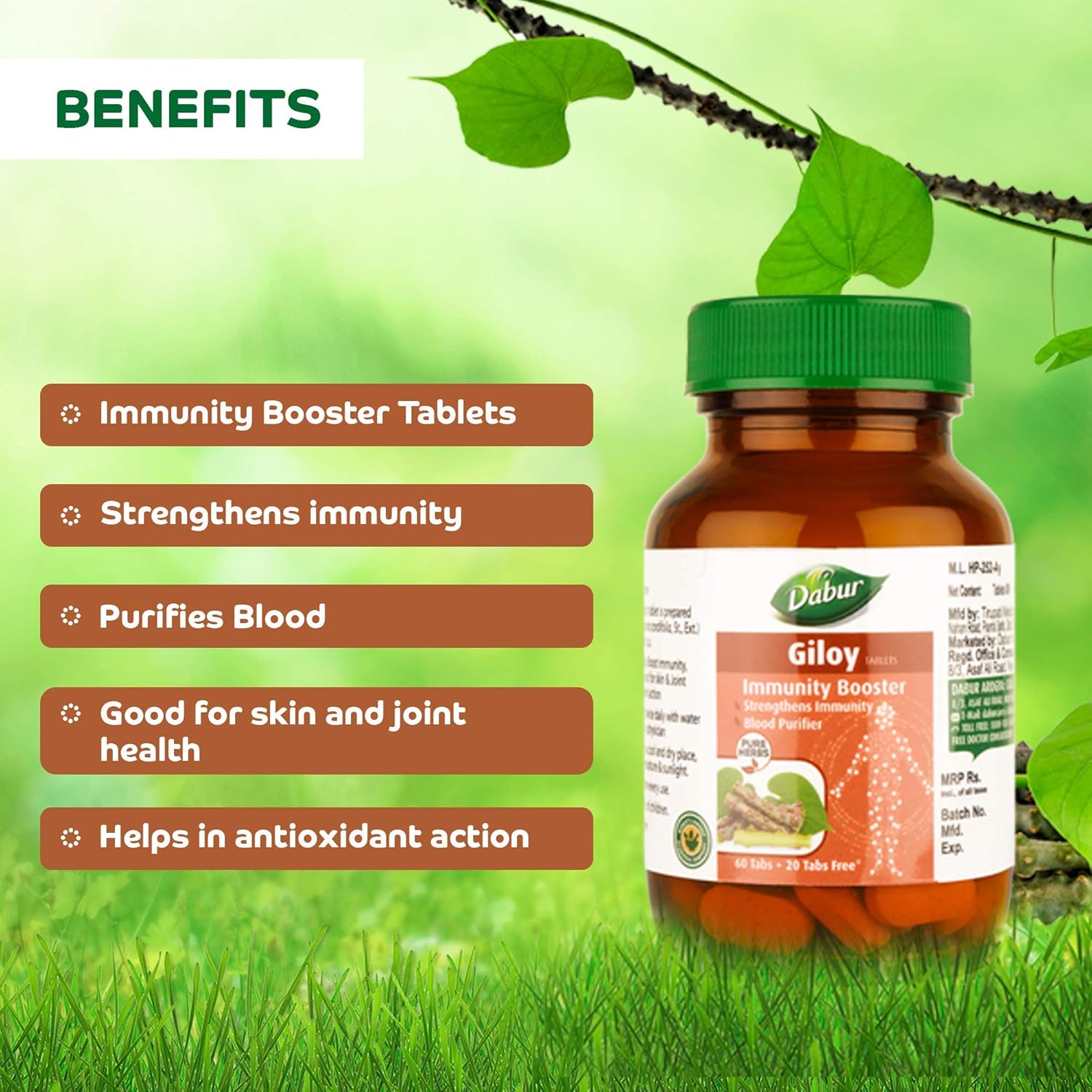 Dabur Giloy Tablets Immunity Booster, Blood Purifier, Health & Well - Being | 60 Tablets 100gm 0.2lbs
