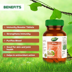Dabur Giloy Tablets Immunity Booster, Blood Purifier, Health & Well - Being | 60 Tablets 100gm 0.2lbs
