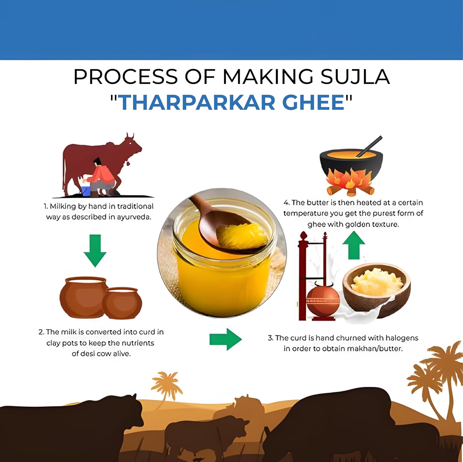 Premium A2 Desi Tharparkar Cow Ghee By Sujla | Naturally Rich Taste & Aroma Desi Pure Ghee Perfect For Diet | (500ml) 16.9 Ounce | Jar Pack