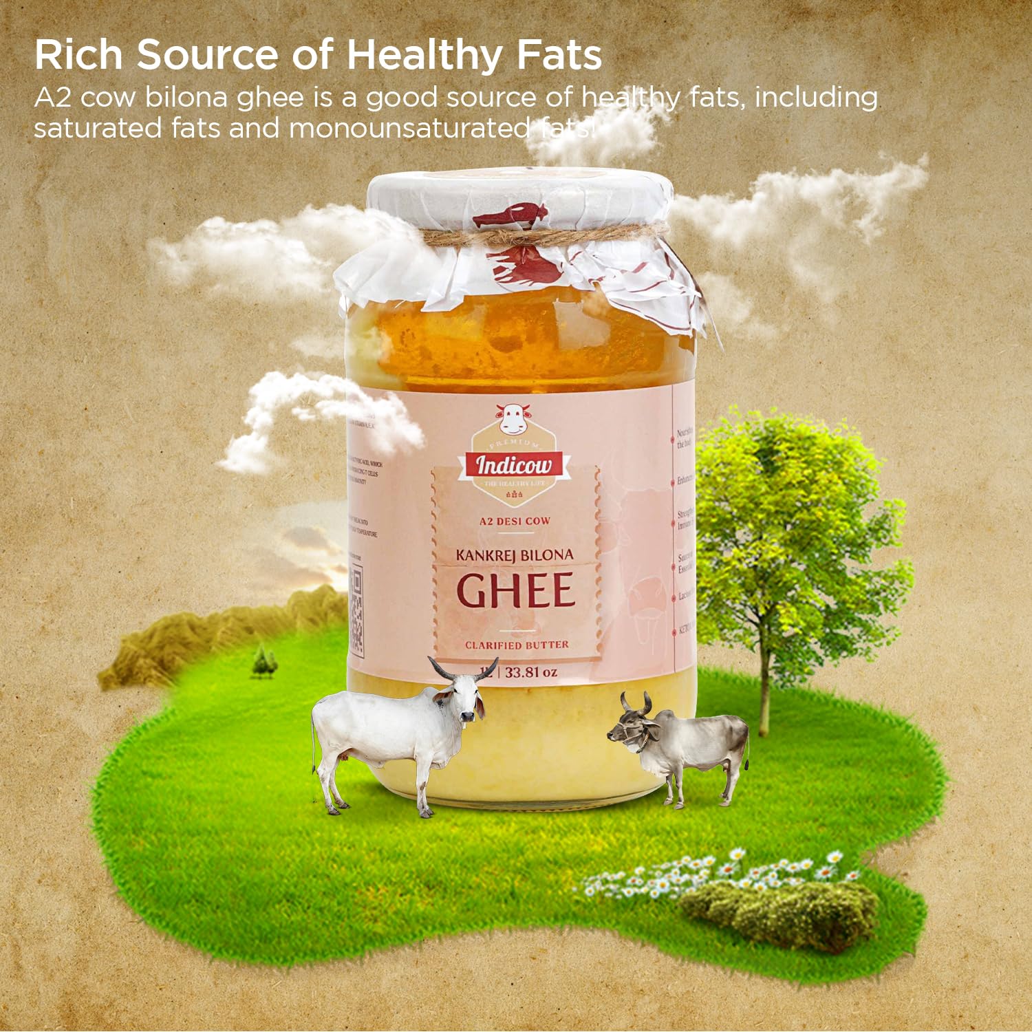 Pure Natural Kankrej Bilona A2 Cow Ghee By Indicow | Rich In Vitamins A, E Healthy Desi Cow Ghee Good For Bones Health | (500ml) 16.9 Ounce | Jar Pack