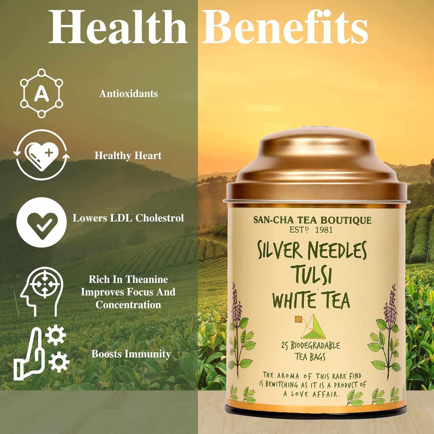 San-Cha Silver Needles Tulsi White Tea - 25gm, 0.8 Ounce, 25 Biodegradable Tea Bags | Supports Improved Immunity - Low Caffeine, Richest In Antioxidants