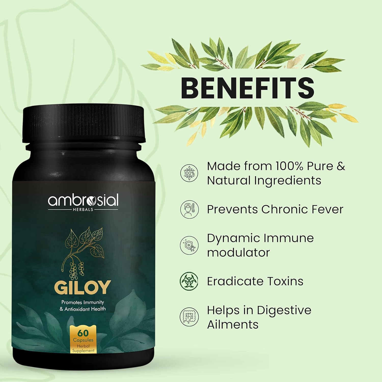 Ambrosial Giloy (Guduchi) High Strength 500mg Natural Giloy Extract Strengths Immune System & Antioxidant Health, Supports Overall Wellness | 60 Capsules 100gm 0.2lbs