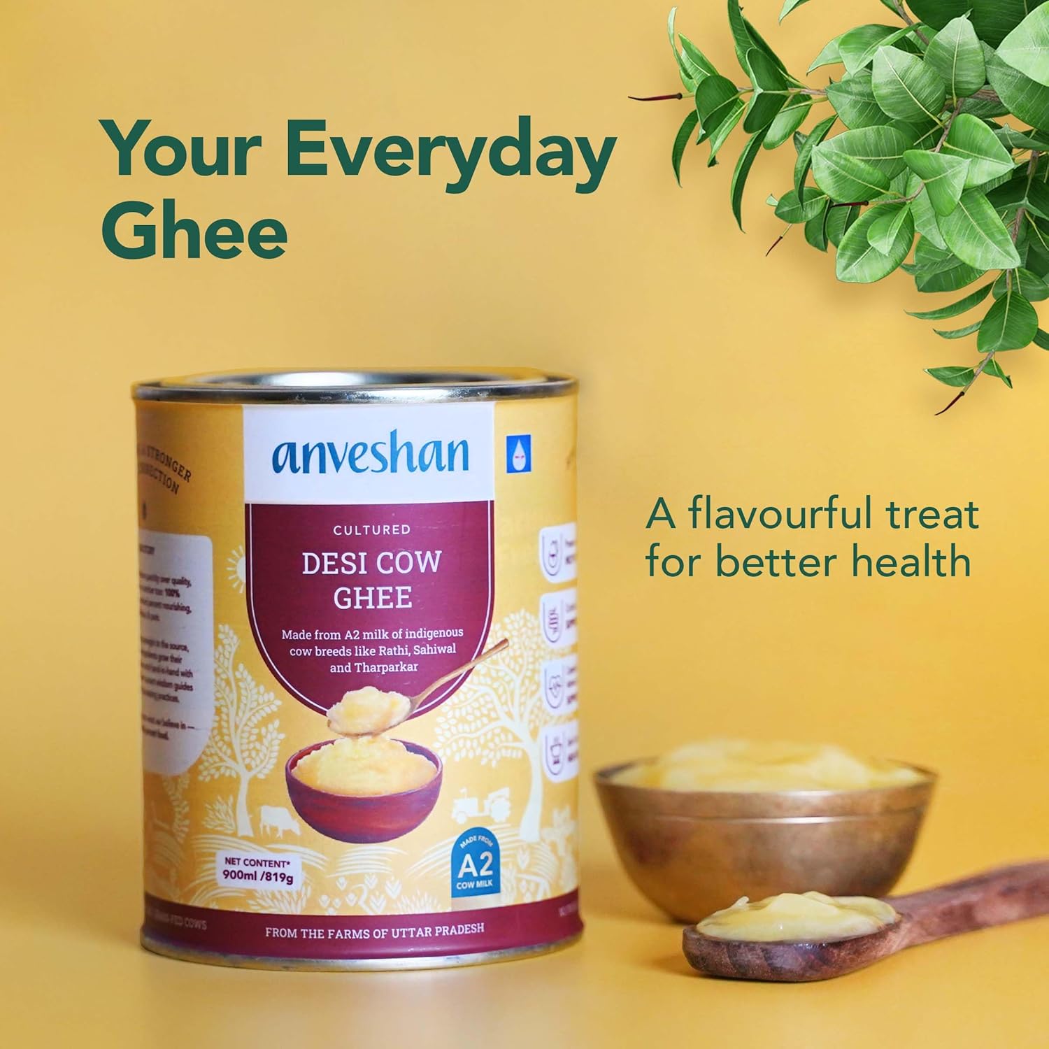 100% Natural A2 Cultured Desi Cow Ghee By Anveshan | High In Vitamins A, D & Healthy Bilona Method Desi Ghee Good For Improves Eyesight | (900ml) 30.4 Ounce | Tin Pack