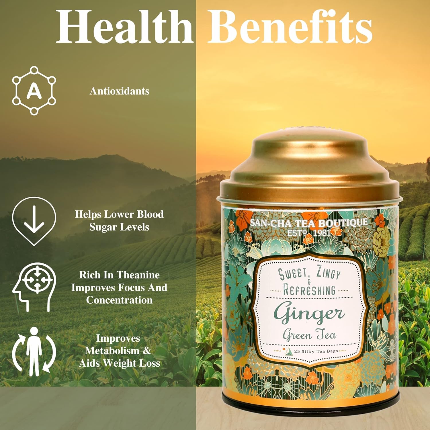 San-Cha Ginger Green Tea - 25 Silky Tea Bags | Sweet Zingy & Refreshing Detox Tea - Environment Friendly & Made In Corn Fiber | Low Caffeine, Low Bitterness