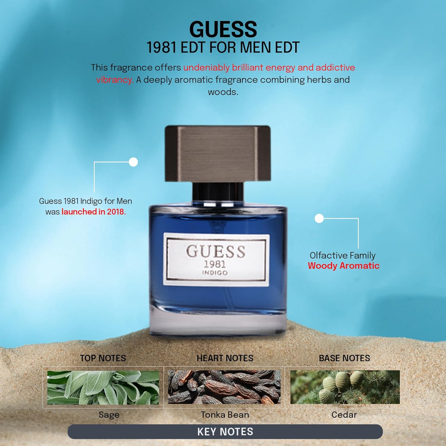 Guess 1981 Indigo EDT 30ml 1.0 Fl.oz. | Perfect Gift For Husband | Long Lasting Fragrance