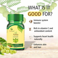 Sayurvedic Amla Health Booster Hair Care, Rich In Antioxidants, Provides Protection Against Infections, Pure Herbs | 60 Capsules, 100gm 0.2lbs