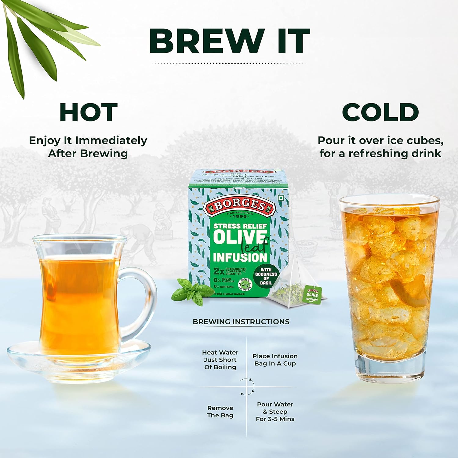 Borges Stress Relief Olive Leaf Infusion Tea - 10 Bags In Sealed Envelope | 2X Antioxidants Than Green Tea - With Goodness Of Basil | Caffeine Free, No Added Flavor