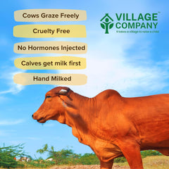 Premium A2 Cow Desi Ghee By Village Company | Rich In Nutrients Calcium & Iron Pure Healthy Desi Cow Ghee For Boost Energy | 1 Litr (500ml * 2) 33.8 Ounce | Jar Pack