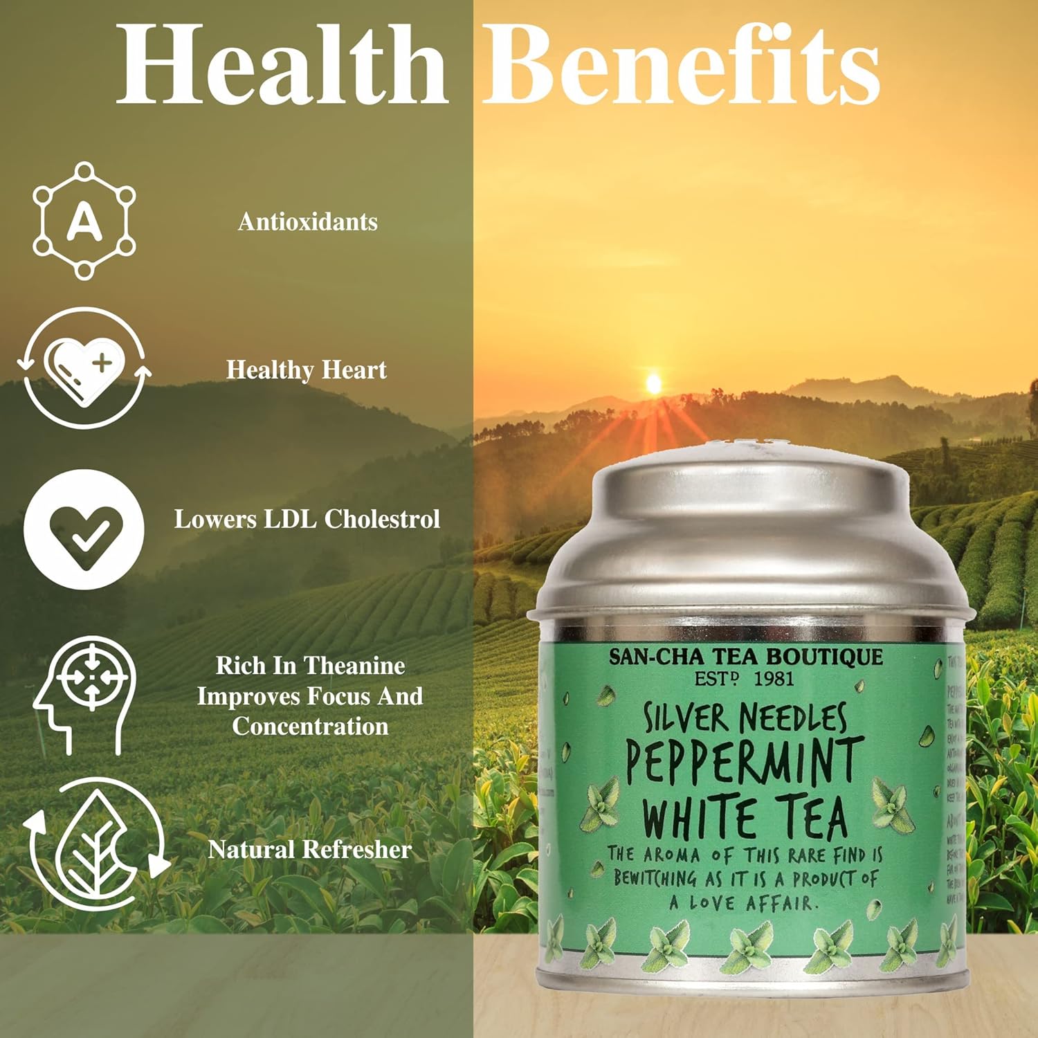 San-Cha Silver Needles Peppermint White Tea - 25gm, 0.8 Ounce | Environment Friendly, Reduces Stress - Low Caffeine, Richest In Antioxidants