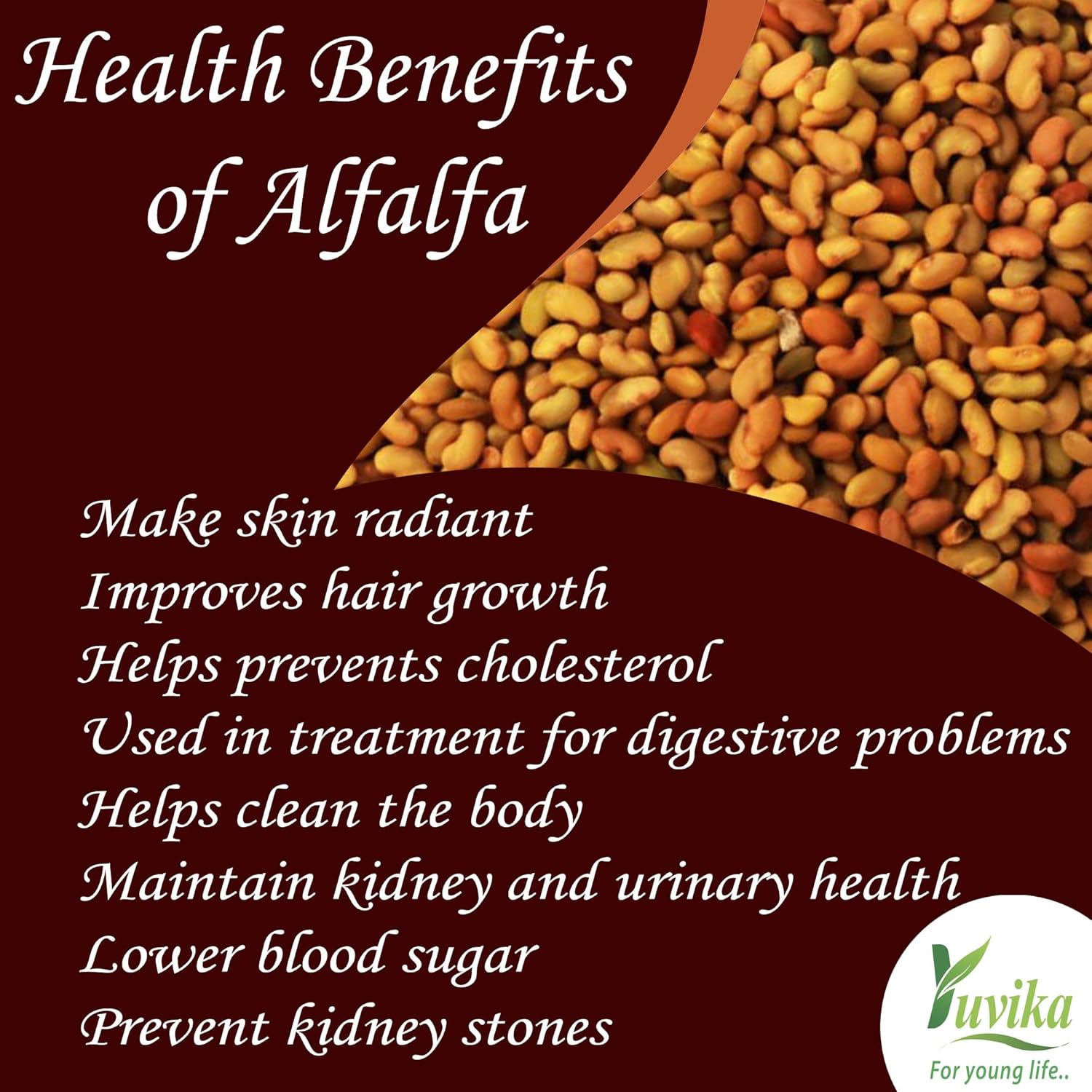 Yuvika Alfa Seeds, No Artificial Colors, 100% Organic | 100gm 0.2lbs
