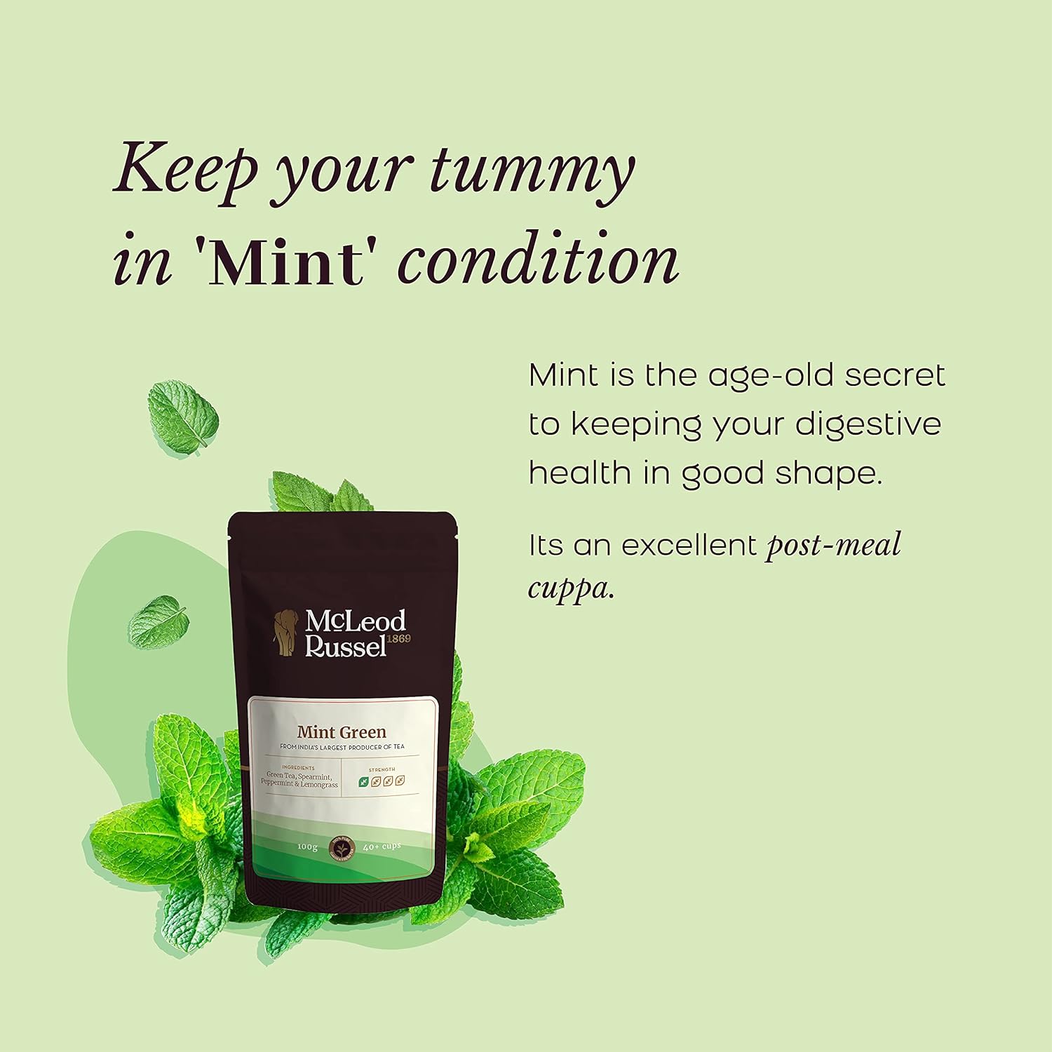 McLeod Russel 1869 Mint Green Tea - 100gm, 3.5 Ounce, 40+ Cups | Refreshing Digestive Drink - Long Leaf Green Tea | Low Caffeine, Post-Meal Cup Iced Tea
