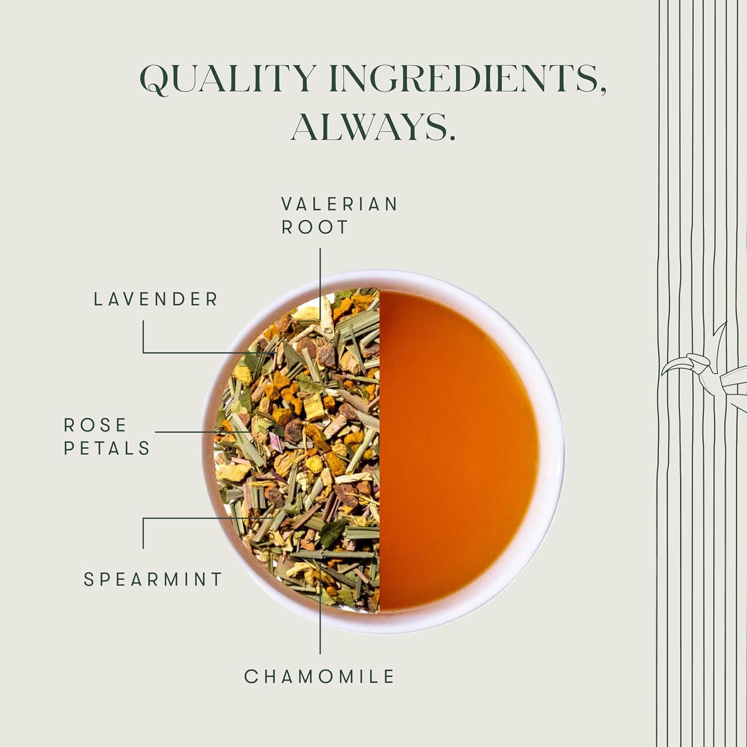 Luxmi Estates Astounding Ashwagandha Turmeric Ginger Herbal Tea Bags 30gm, 1.05 Ounce - 15 Tea Bags | Certified USDA Organic Herbal Tea Bags For Stress Support