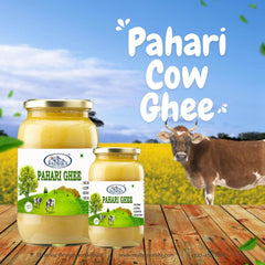 Organic Pahari A2 Ghee By Badrika | Himalayan Badri Cow Milk Ghee By Traditional Bilona Method Good For Weight Loss | (450ml) 15.2 Ounce | Jar Pack