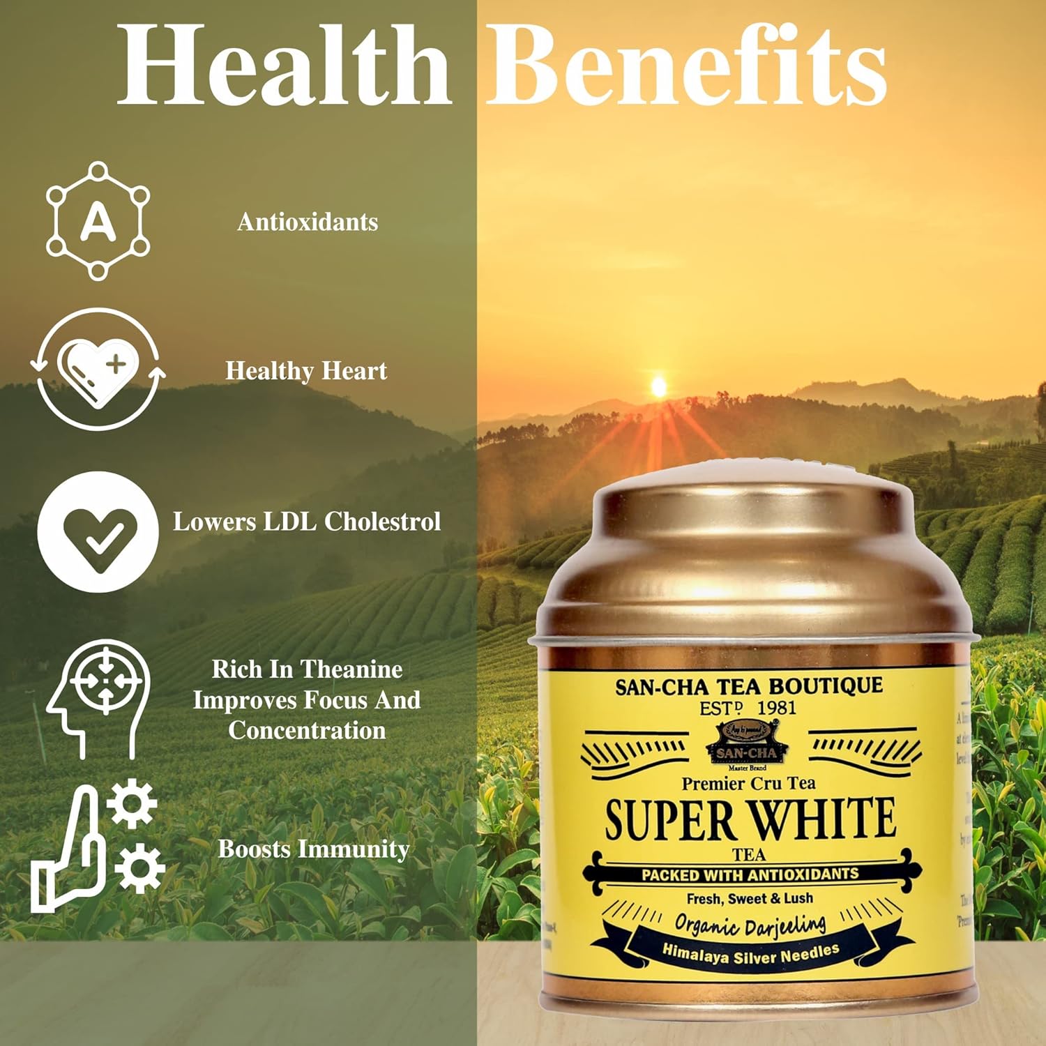 San-Cha Premier Cru Super White Tea - 25gm, 0.8 Ounce | Fresh, Sweet & Lush Organic Darjeeling Tea - Low Caffeine, Richest In Antioxidants