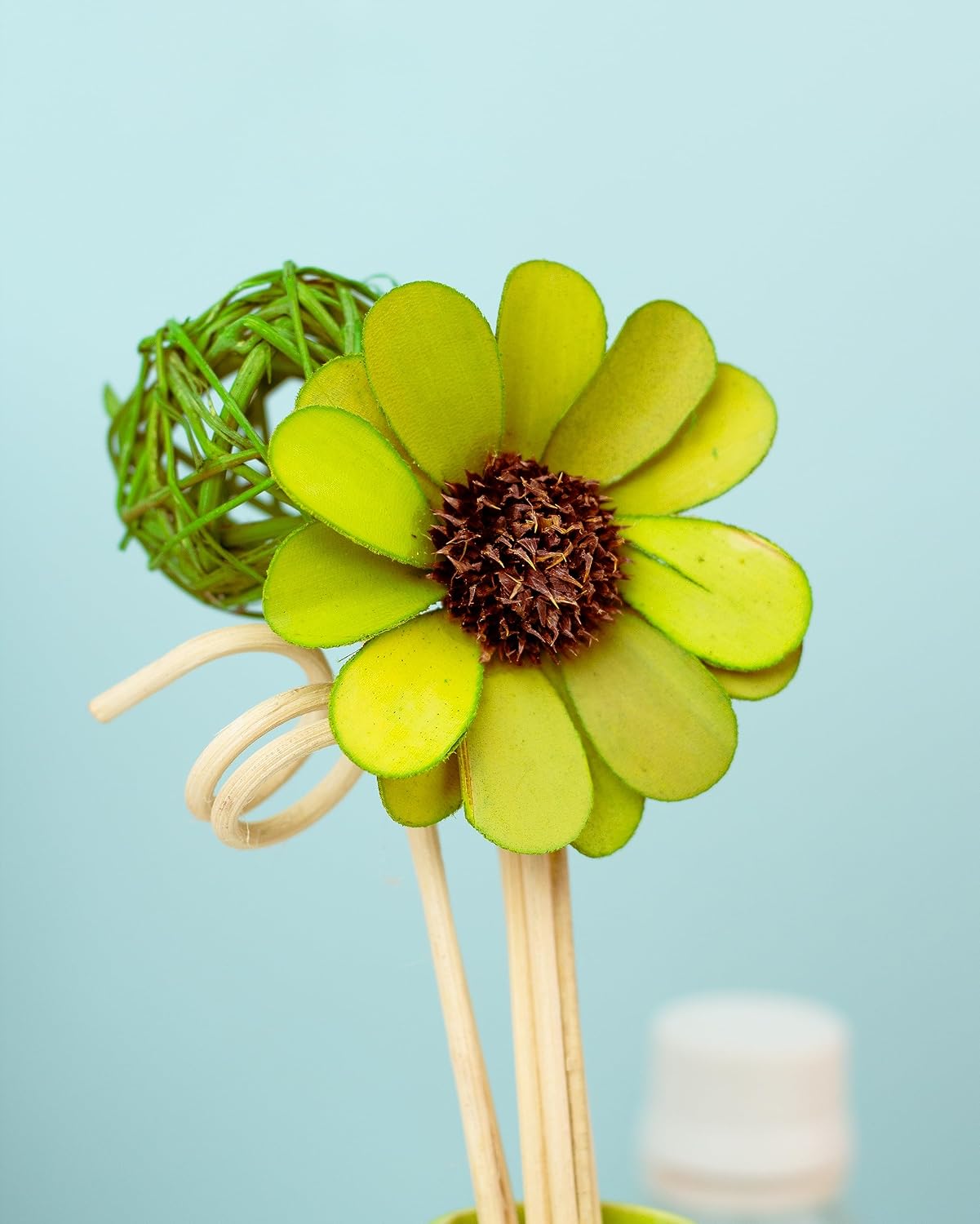 LEMON GRASS LARGE FRAGRANCE REED OIL& REED STICKS AIR FRESHNER DIFFUSER GIFT SET