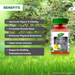 Dabur Gokshura Tablets Boosts Vitality & Stamina, Supports Gut Health, Boost Vitality & Stamina | 60 Tablets 100gm 0.2lbs