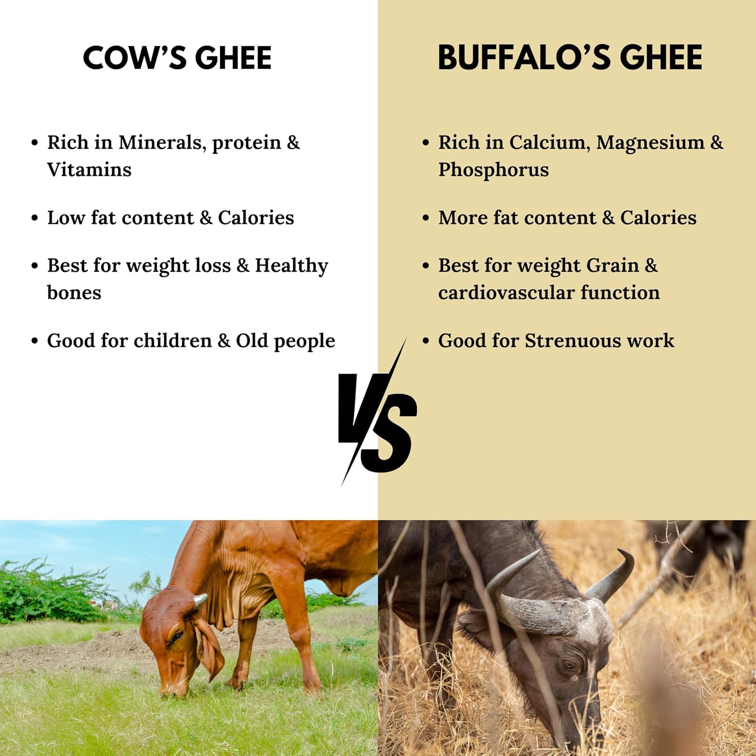 Natural Desi Cow A2 Bilona Ghee By Antique Ayurveda | Traditional Hand-Churned Desi Cow’S Ghee Support Healthy Skin & Hair | (1 Litre) 33.8 Ounce | Jar Pack