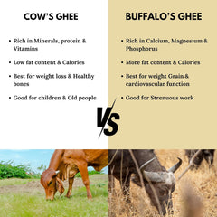 Natural Desi Cow A2 Bilona Ghee By Antique Ayurveda | Traditional Hand-Churned Desi Cow’S Ghee Support Healthy Skin & Hair | (1 Litre) 33.8 Ounce | Jar Pack