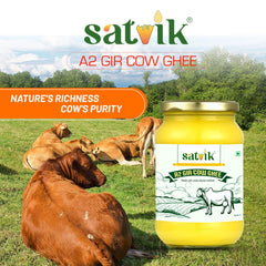 100% Natural A2 Gir Cow Ghee By Satvik Pure Ghee | Healthy & Delicious Nutrients Lab Certified Desi Ghee Good For Overall Health | 3 Litr (1 Litr * 3) 101.4 Ounce | Jar Pack