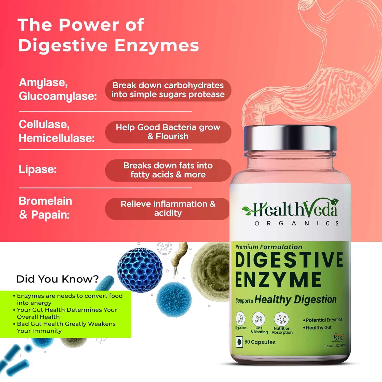 Health Veda Organics Digestive Enzyme Capsules For Better Digestive Function, Healthy Gut & Health Management, For Men & Women | 60 Veg Capsules, 100gm 0.2lbs