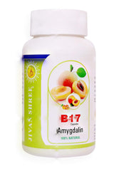 Jivan Shree Vitamin B17 Amygadling 100% Natural , Immune Support | 60 Vegetarian Capsules , 100gm 0.2lbs