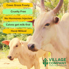 Premium A2 Kangayam Cow Ghee By Village Company | Rich In Nutrients Calcium & Iron Pure Healthy Desi Cow Ghee Good For Glowing Skin | 2 Litre (1 Litr * 2) 67.6 Ounce | Jar Pack