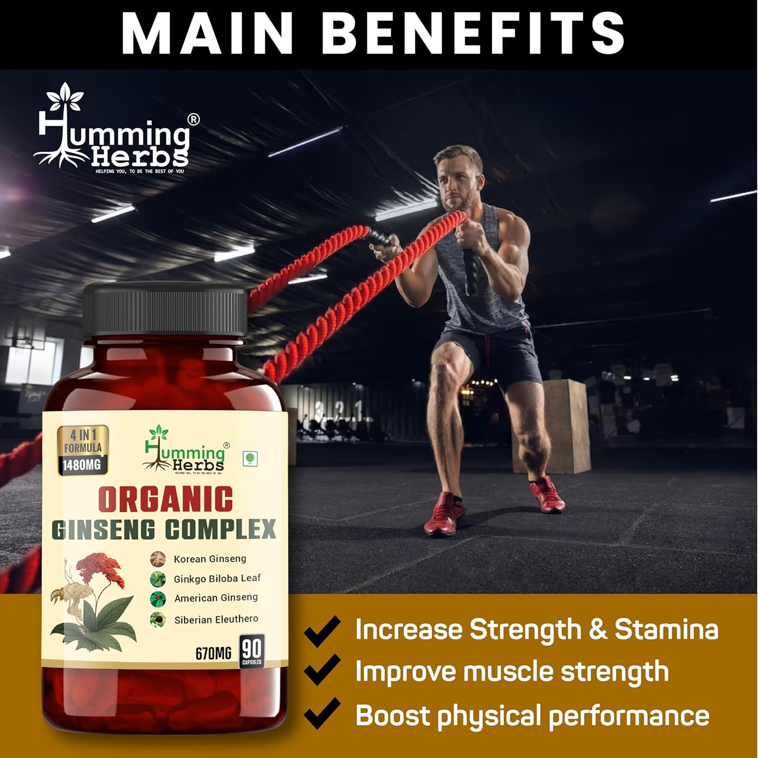 Humming Herbs Ginseng Complex 1480mg Enhanced Absorption With Korean Ginseng, Ginkgo Biloba, American Ginseng & Siberian Eleuthero | 90 Capsules 150gm 0.3lbs