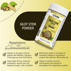 Iyush Herbal Ayurveda Giloy Stem Powder, Forest Variety Herbs, Organic, 100% Pure & Natural, No Preservatives Added | 100gm 0.2lbs Each Pack Of 2