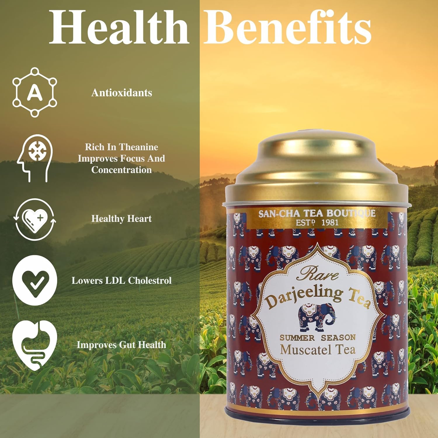 San-Cha Rare Darjeeling Muscatel Tea - 100gm, 3.5 Ounce | Summer Season Harvest Darjeeling Tea - Golden Orange Pekoe | Medium Caffeine Loose Tea Leaf