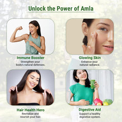 Aarshaveda Organic Amla Powder 100% Pure & Natural Promotes Hair Growth & Skin Care Scalp Treatment With Vitamin C, Healthy Hair Nourishment No Preservatives | 200gm 0.4lbs