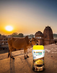 100% Pure Cow Ghee By Abinisha | Good Source Of Energy & Nutrients Healthy Desi Ghee Perfect For Sweets | (500ml) 16.9 Ounce | Jar Pack