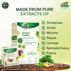 Zandu Ginger Celery Herbal Infusion Green Tea - 25 Tea Bags | Maintains Gut Health - Aids In Metabolism & Detoxification | Enriched With 7 Powerful Herbs - Caffeine Free
