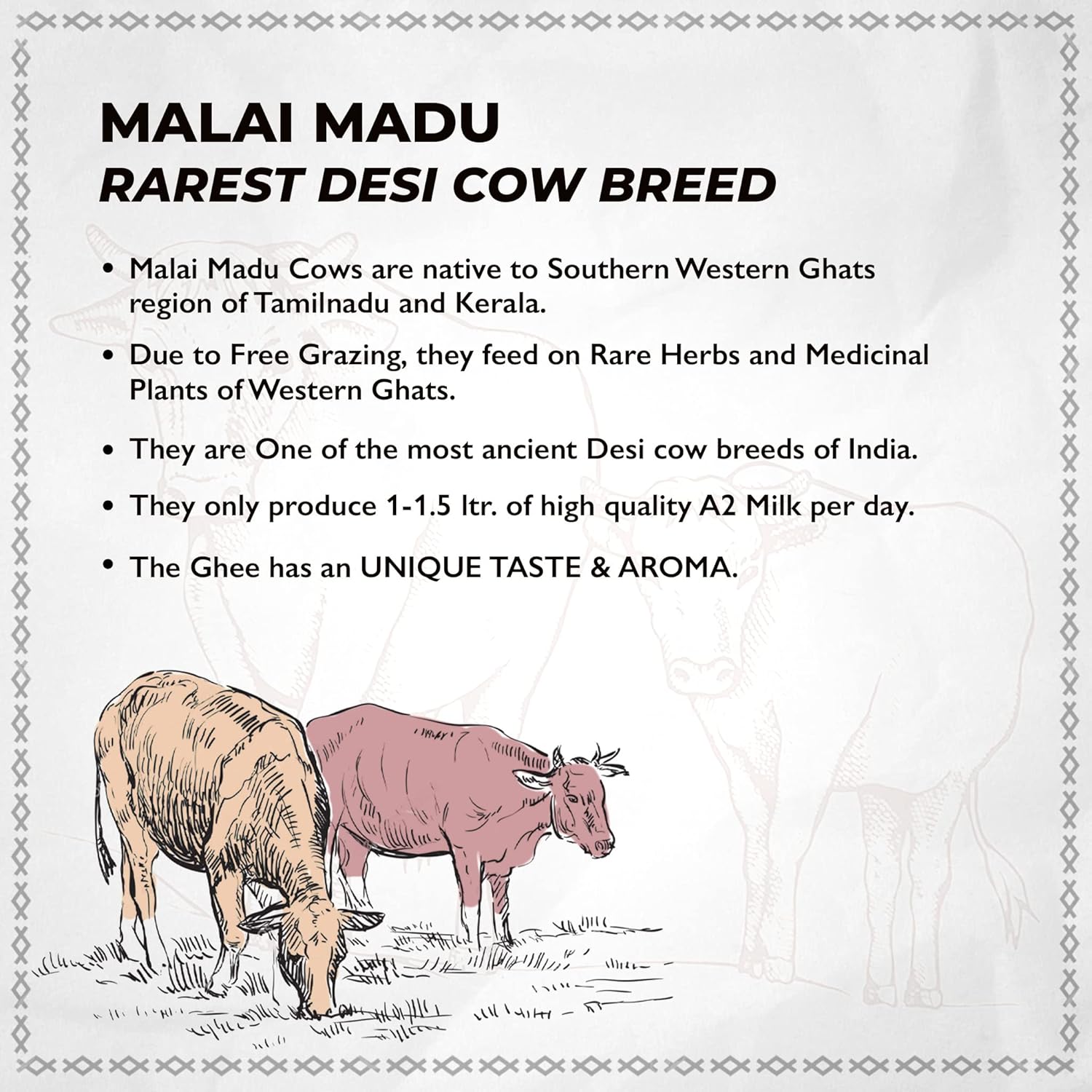Pure Natural A2 Cow Ghee By Le Organics | Vedic Bilona Method Malai Madu Cow Ghee For Laddus | (1 Litr) 33.8 Ounce | Jar Pack