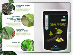 Organic Prime Giloy Powder Guduchi Tinospora Cordifola, Immunity Support, For Immunity Wellness, Helps To Maintain Healthy Body Temperature | 500gm 1.1lbs