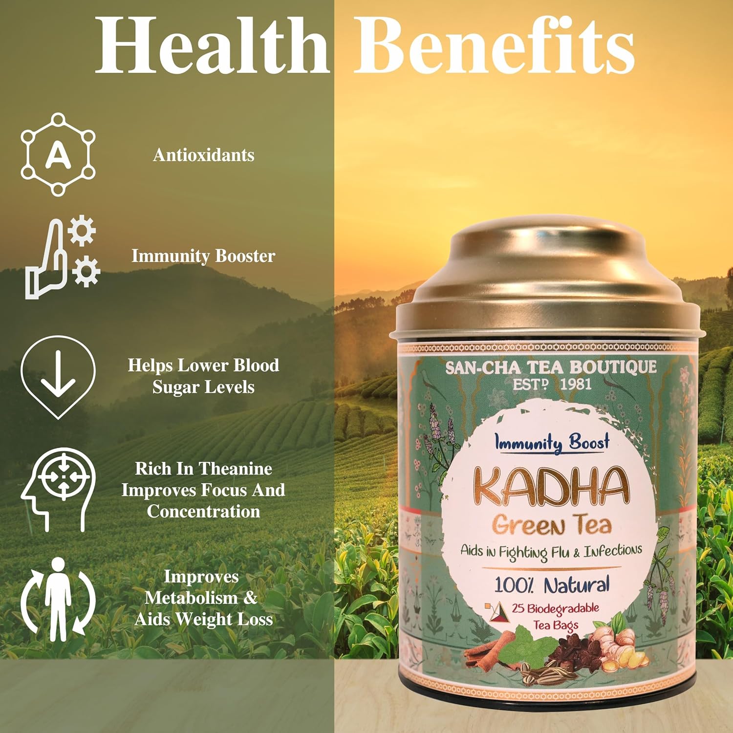 San-Cha Kadha Green Tea - 25 Biodegradable Tea Bags | Aids In Fighting Flu & Infections - Environment Friendly & Made In Corn Fiber | Caffeine Free - Blended With Real Herbs & Spices