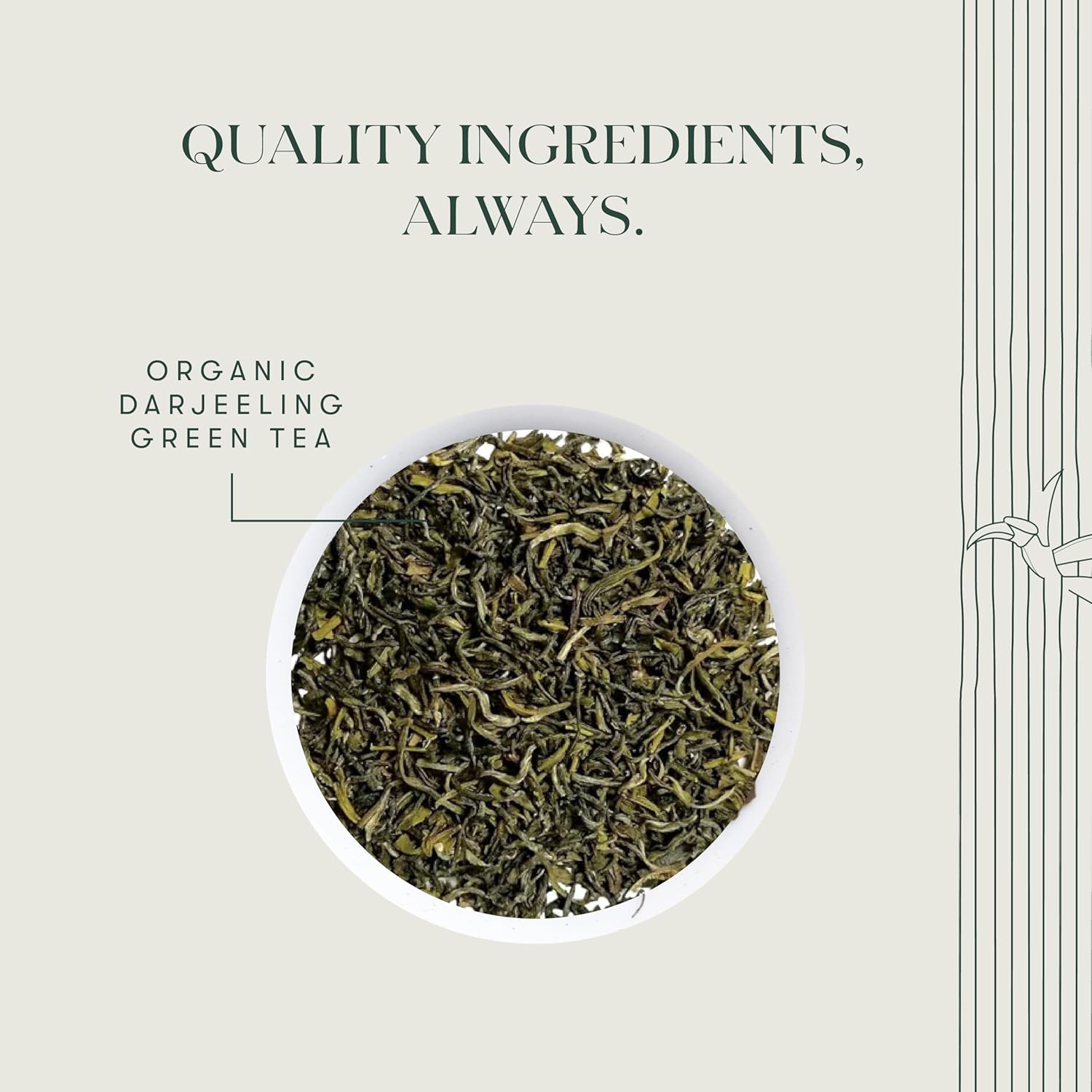 Luxmi Estates Tokyo Green Tea - 100gm, 3.5 Ounce, 50 Cups | USDA Organic Certified Green Tea - Low Caffeine Green Tea | Additives Free Loose Leaves, Rich In Antioxidants