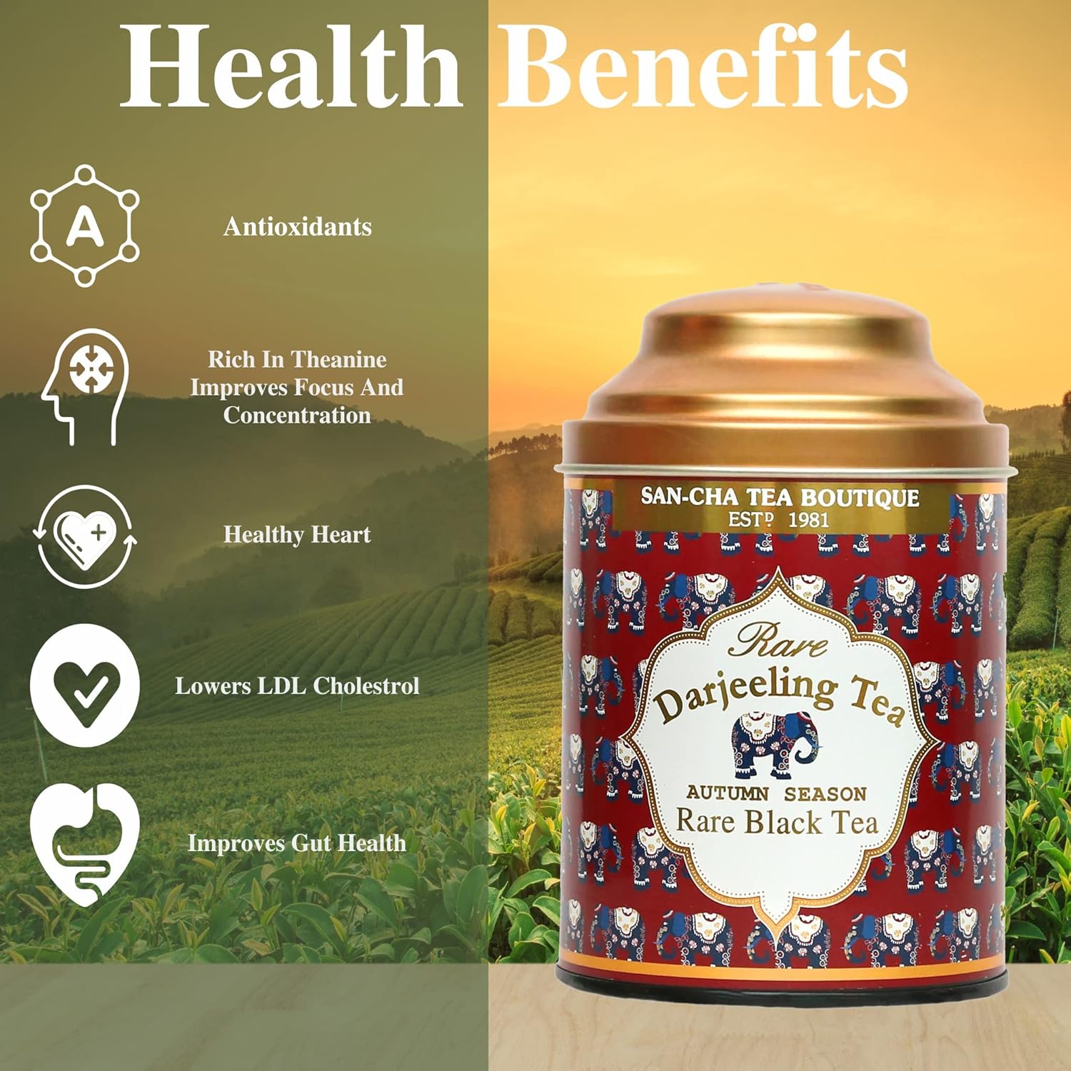 San-Cha Rare Darjeeling Black Tea - 100gm, 3.5 Ounce | Autumn Season Harvest Darjeeling Tea - Golden Orange Pekoe | Medium Caffeine Loose Tea Leaf