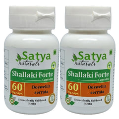 Satya Naturals Boswellia Serrata Shallaki Extract Capsules, Highest Potency, 100% Herbal Product | 500mg 60 Veg Capsules 100gm 0.2lbs Each Pack Of 2