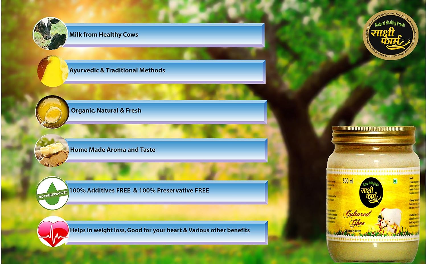 Natural Organic Cultured Desi A2 Ghee By Sakshi Farms | Rich In Vitamin A, D & K Healthy Vedic Bilona Method Pure Desi Ghee For Immunity Booster | (500ml) 16.9 Ounce | Jar Pack