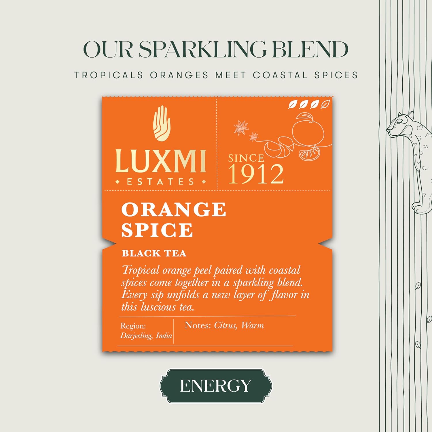 Luxmi Estates Orange Spice Black Tea - 100gm Tin Caddy, 3.5 Ounce, 50 Cups | USDA Certified Organic Tea - Medium Caffeine Black Tea | Rich In Antioxidants, Additives Free