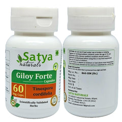 Satya Naturals Tinospora Cordifolia Giloy, Guduchi Extract Capsules, Highest Potency, 100% Herbal Product | 500mg 60 Capsules 100gm 0.2lbs Each Pack Of 2