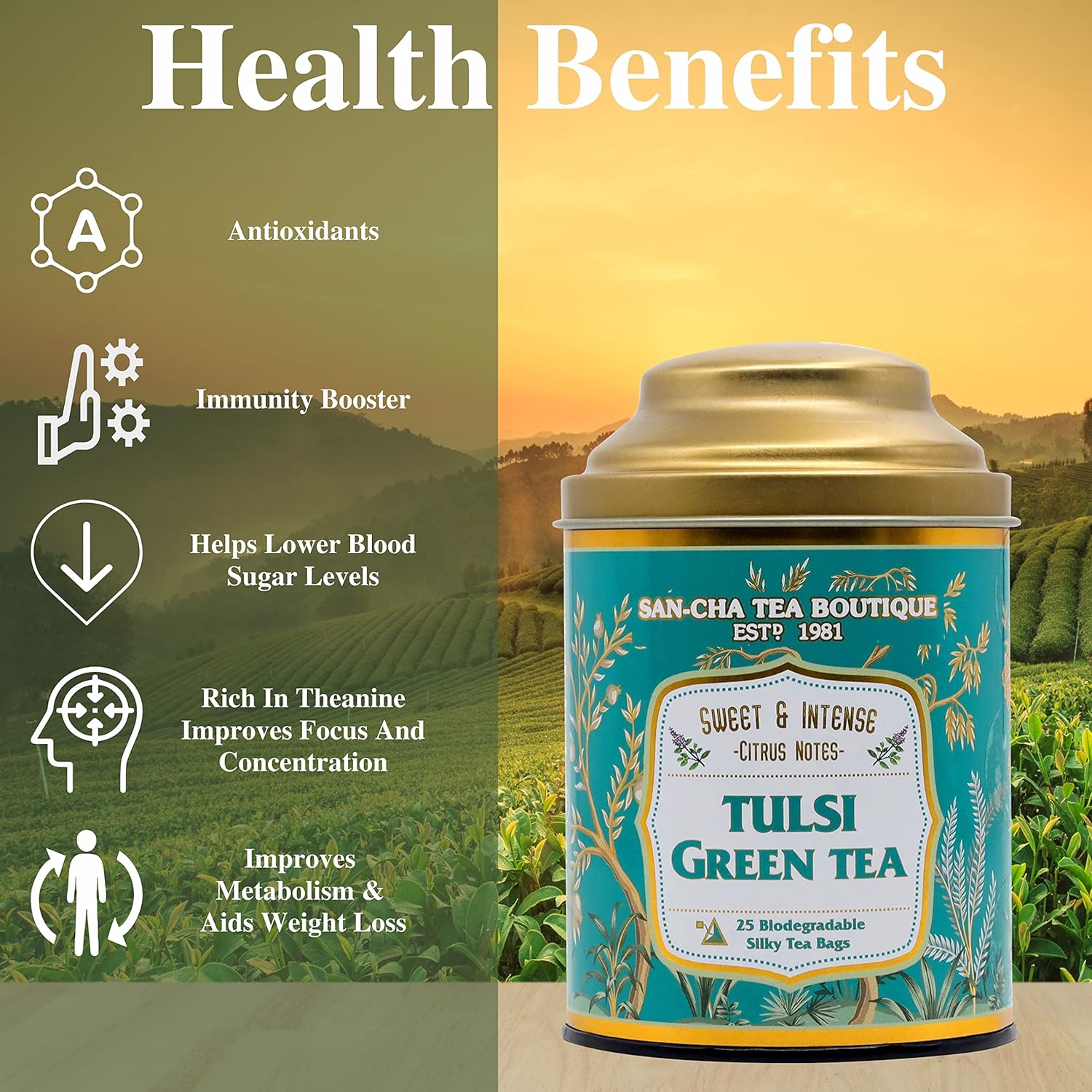 San-Cha Tulsi Green Tea - 25 Biodegradable Silky Tea Bags | Sweet & Intense Citrus Notes - Environment Friendly & Made In Corn Fiber | Low Caffeine