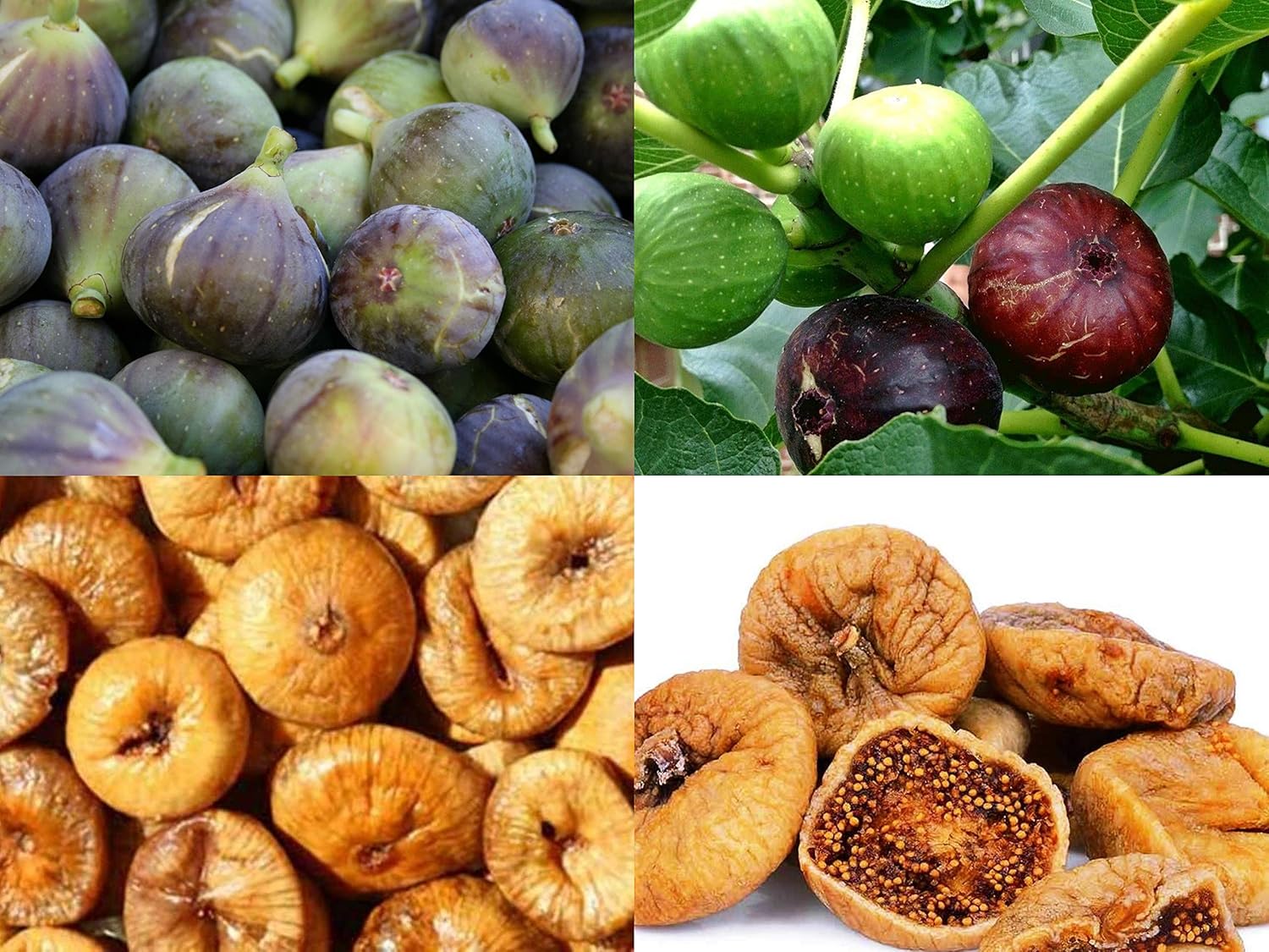 Pure Afghani Anjeer Dried Figs By Foodcan 100gm, | Figs Are Rich In Vitamins, Anti-oxidants & Iron Dried Anjeer Dry Fruits | 3.5 Ounce