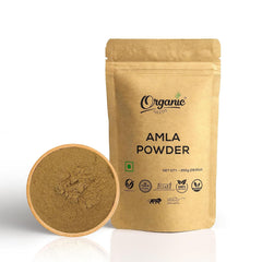 Organic Needs Amla Fruit Powder For Eating, Amla Powder For Drinking, Amla Powder For Hair Growth, Indian Gooseberry | 250gm 0.5lbs