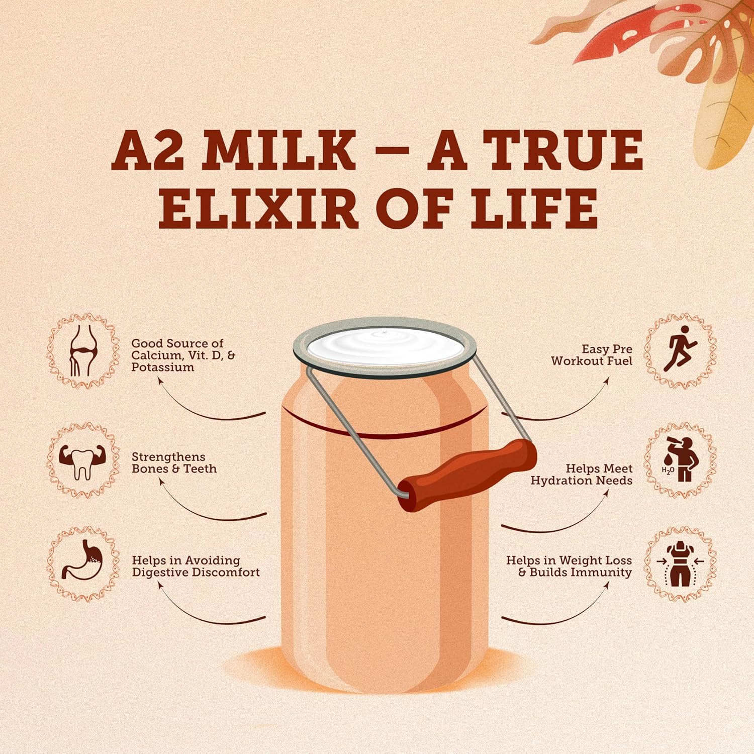 Premium Gir Cow Desi Ghee Made With A2 Milk Using Ayurvedic Bilona Prakriya By House Of Veda | Healthy Desi Ghee For Easy To Digest Strengthens Body | (500ml) 16.9 Ounce | Jar Pack