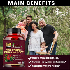 Humming Herbs Red Korean Ginseng With Ginkgo Biloba Leaf, Siberian Ginseng, Supports Energy, Concentration, Immune System & Improves Mental Clarity Bio Available | 90 Capsules 100gm 0.2lbs
